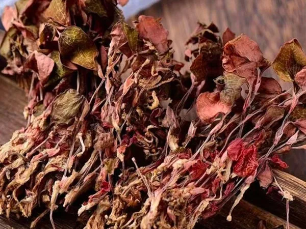 Anoectochilus Roxburghii khô siêu cấp có mặt tại các thị trường đặc sản