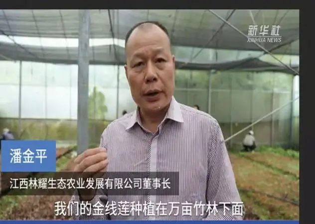 Pan Cận Bình, Chủ tịch Công ty TNHH Phát triển Nông nghiệp Sinh thái Jiangxi Linyao, được Tân Hoa Xã phỏng vấn