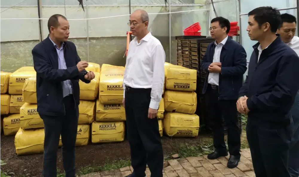 Xie Quanghua, Bí thư Đảng ủy kiêm Giám đốc Cục Y học cổ truyền Trung Quốc tỉnh Giang Tây, tiến hành nghiên cứu tại cơ sở trồng Anoectochilus